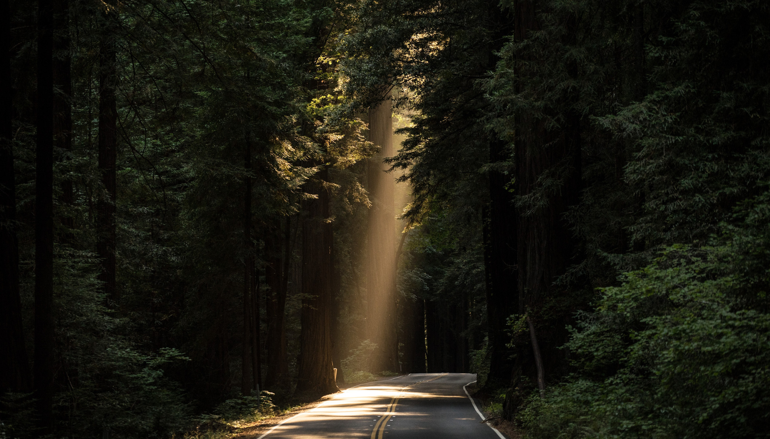 Privat psykologpraksis i Asker